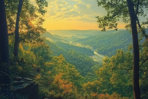 Is Kratom Legal in Tennessee? The 2026 Ban Explained