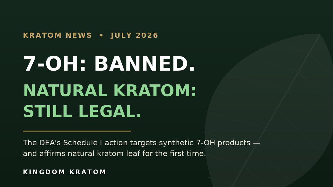 7-OH banned, natural kratom still legal — DEA Schedule I action targets synthetic 7-OH products, July 2026 | Kingdom Kratom