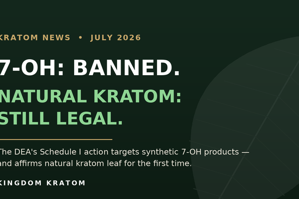 7-OH banned, natural kratom still legal — DEA Schedule I action targets synthetic 7-OH products, July 2026 | Kingdom Kratom