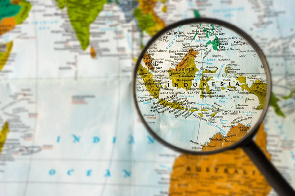 What is Indo Kratom?