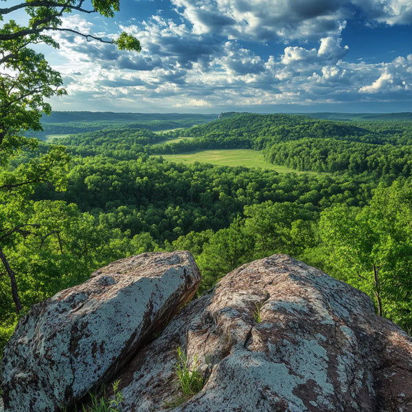 Is Kratom Legal in Missouri in 2024?