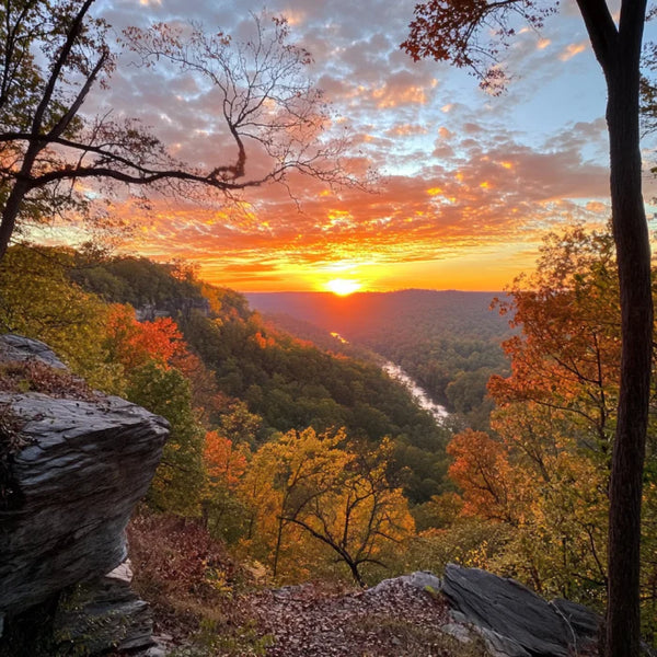 Is Kratom Legal in North Dakota in 2024?