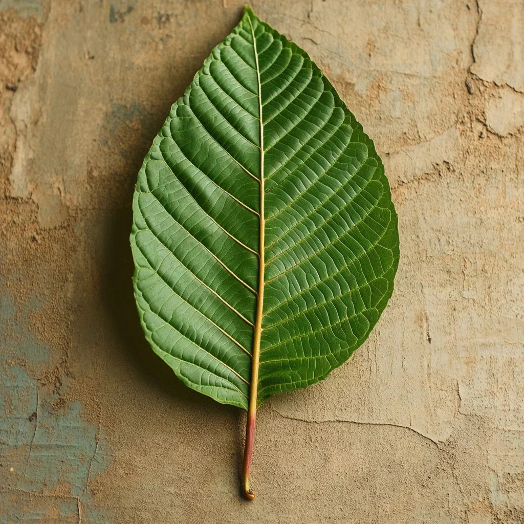 Stem & Vein Kratom