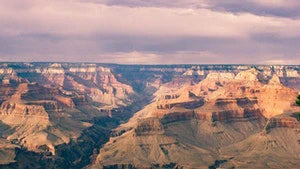 Is Kratom Legal in Arizona in 2024?