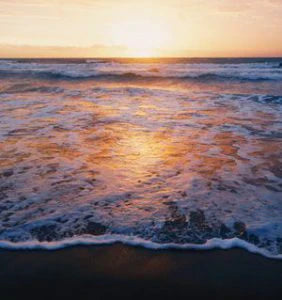 Is Kratom Legal in Alabama in 2024?