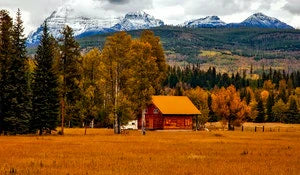 Is Kratom Legal in Colorado in 2024?