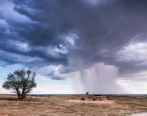 Is Kratom Legal in Oklahoma in 2024?
