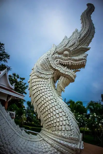 White Dragon Kratom