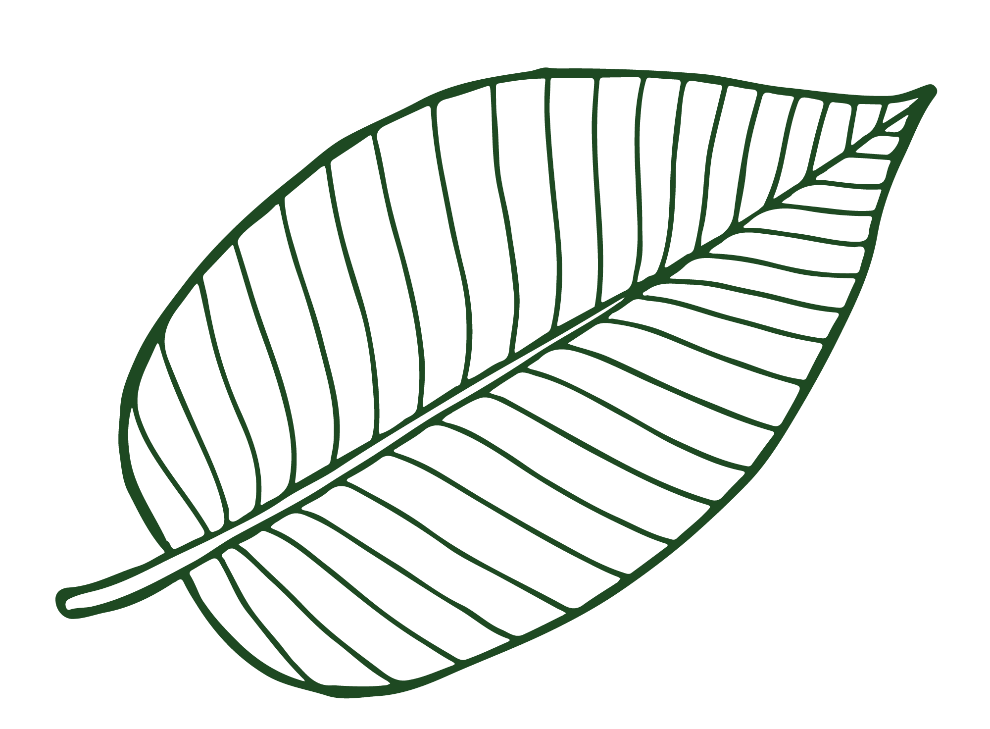 Leaf